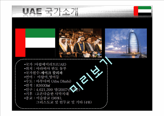 [사회관련] 해외 투자론- 아랍에미리트;UAE 투자환경 PPT   (3 )
